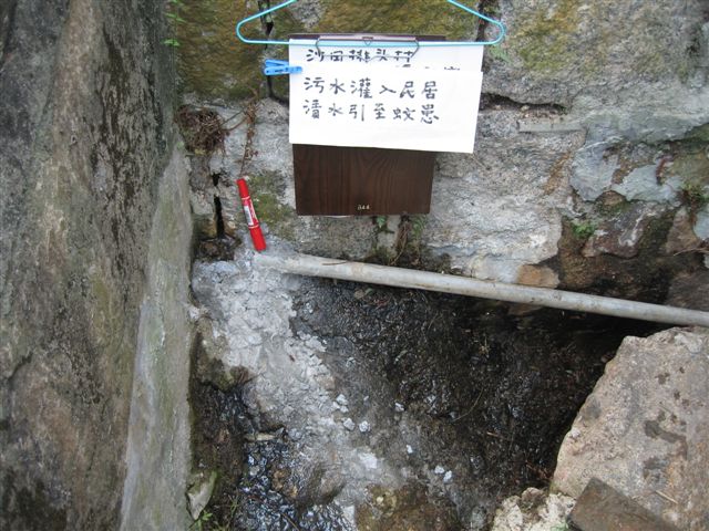 IMG_7807.jpg