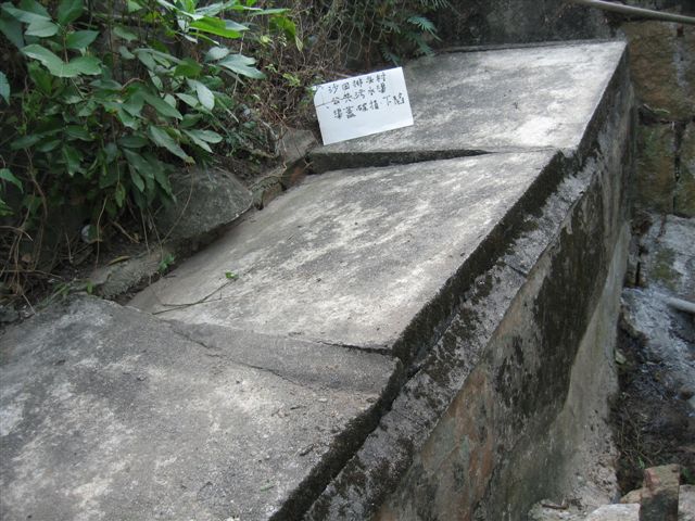 IMG_7813.jpg