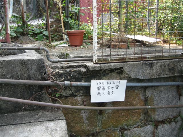 IMG_7819.jpg