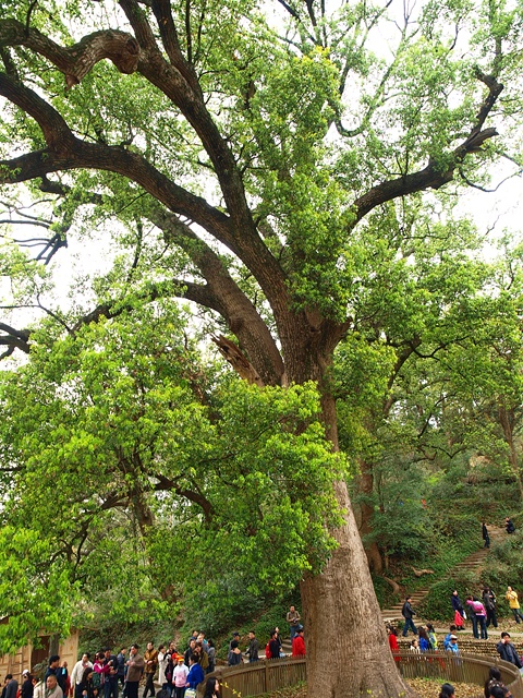 P4044771.JPG