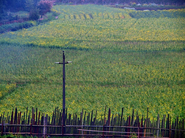 P4054927.JPG