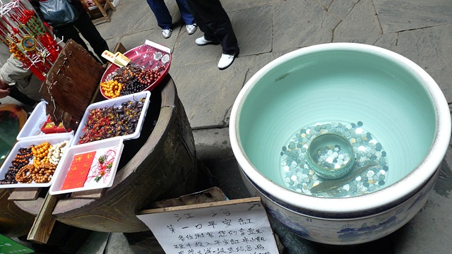 P1040448.JPG