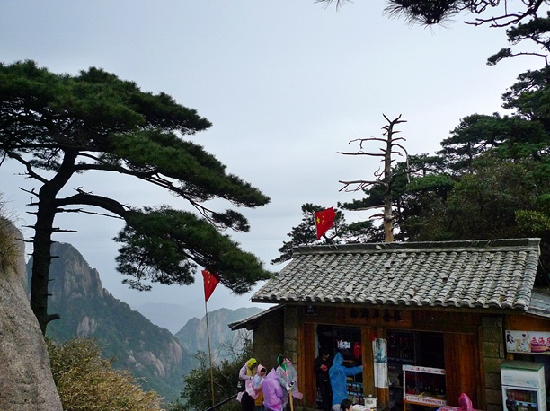 P1040350.JPG