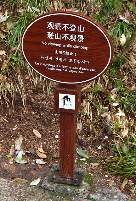 P4034705.JPG