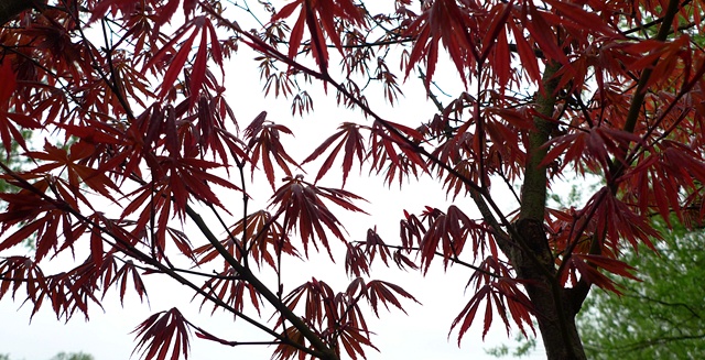 P1040469.JPG