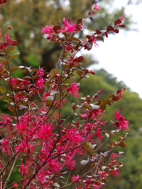 P4044792.JPG