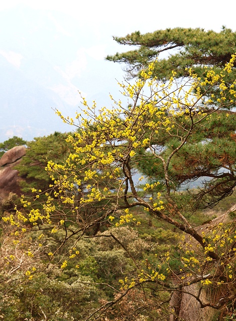 P4034671.JPG