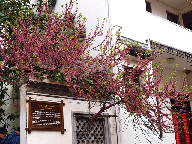 P4044833.JPG
