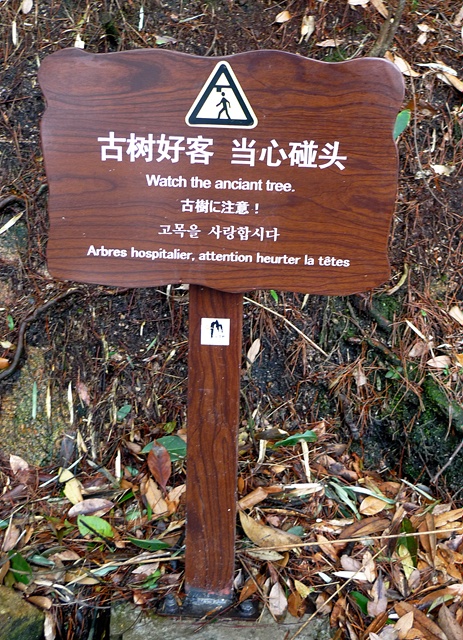 P1040419.JPG