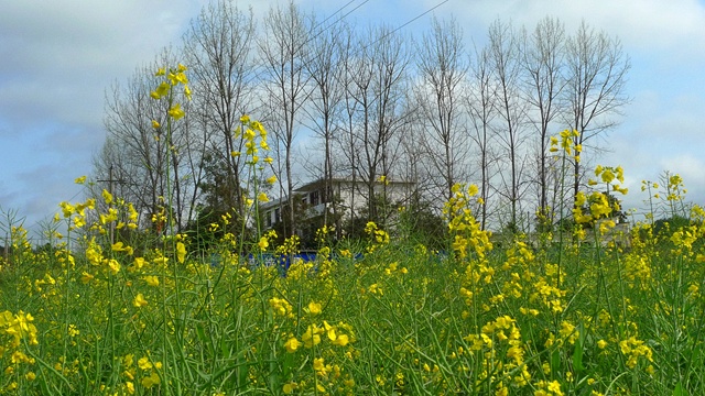 P1040600.JPG