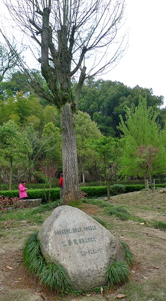P1040455.JPG