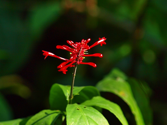 PA316259.jpg