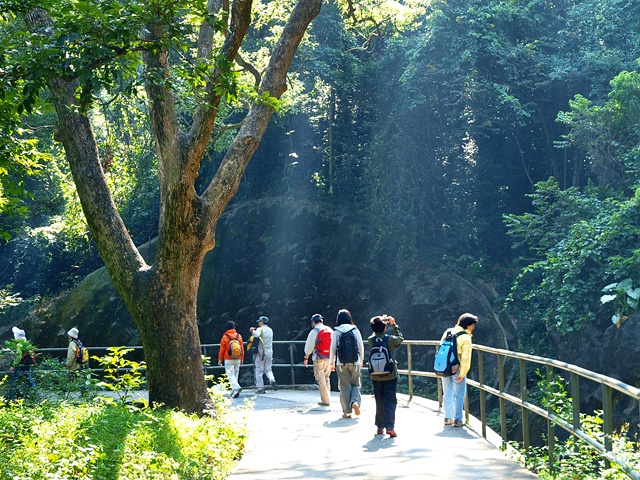 PA316232.jpg